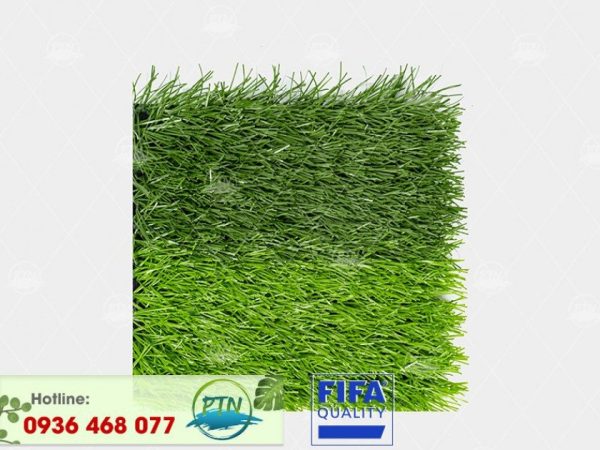 Cỏ nhân tạo PTN-MSX50