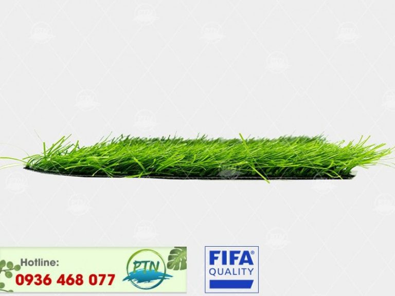Cỏ nhân tạo PTN-MSX501