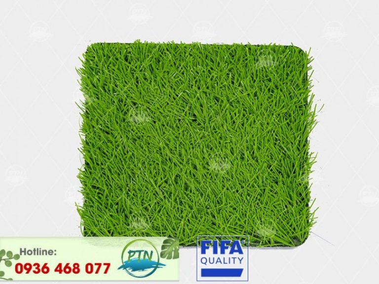 Cỏ nhân tạo PTN-M6 PRO13