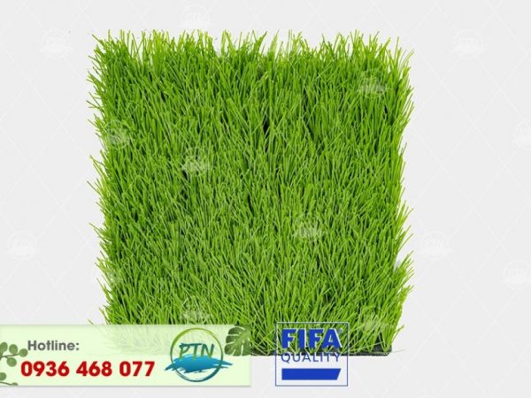 Cỏ nhân tạo PTN-M6