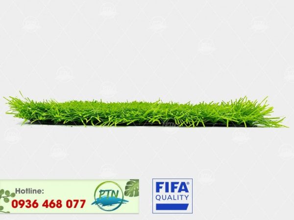 Cỏ nhân tạo PTN-M615