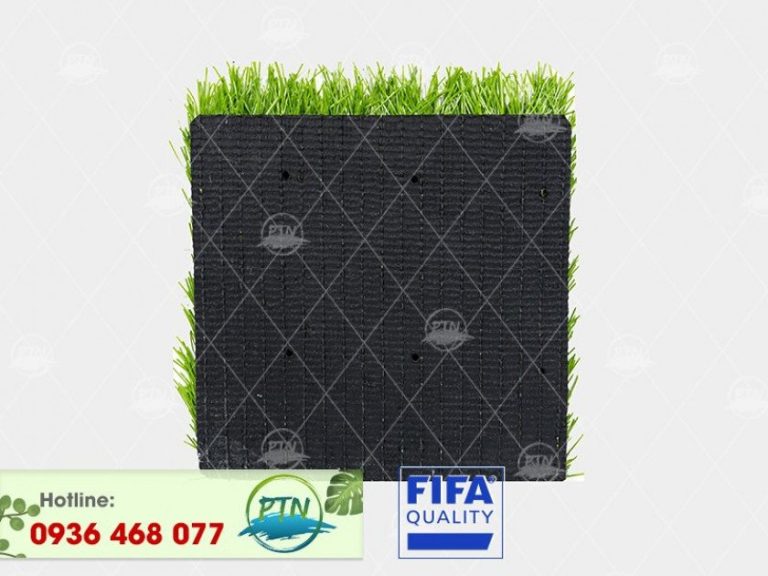 Cỏ nhân tạo PTN-M616