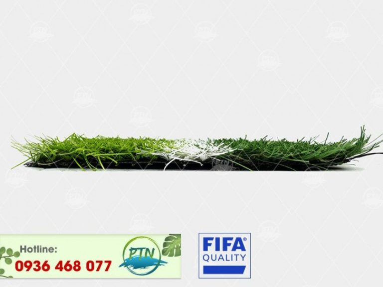 Cỏ nhân tạo PTN-M58 PRO17