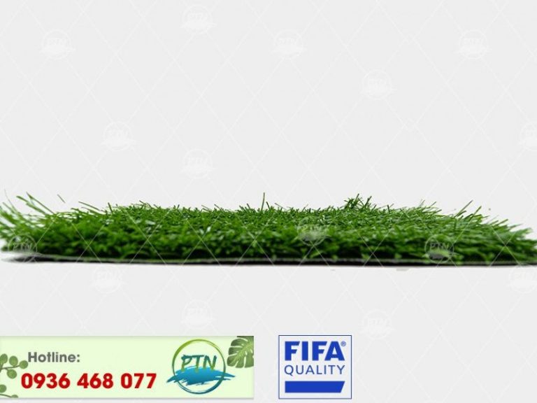 Cỏ nhân tạo PTN-M2322