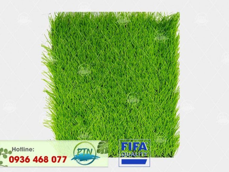 Cỏ nhân tạo PTN-M1825