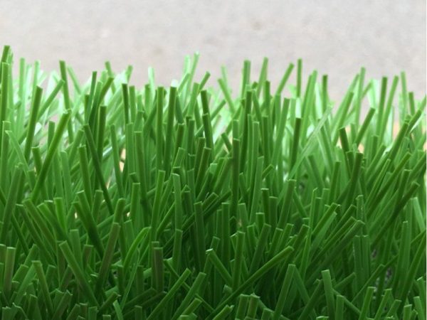 CỎ NHÂN TẠO PTN-LD841332