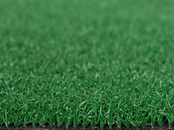 Cỏ nhân tạo sân Golf PTN-X10