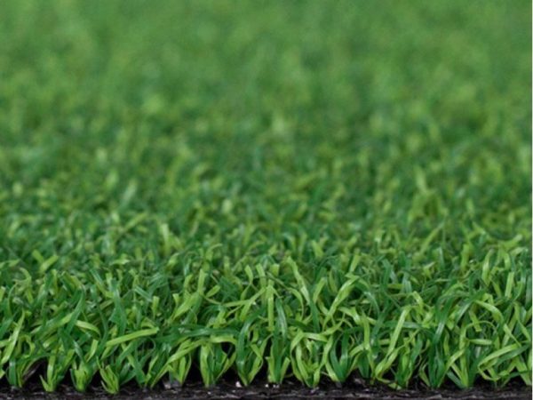 Cỏ nhân tạo sân golf PTN-SG-02