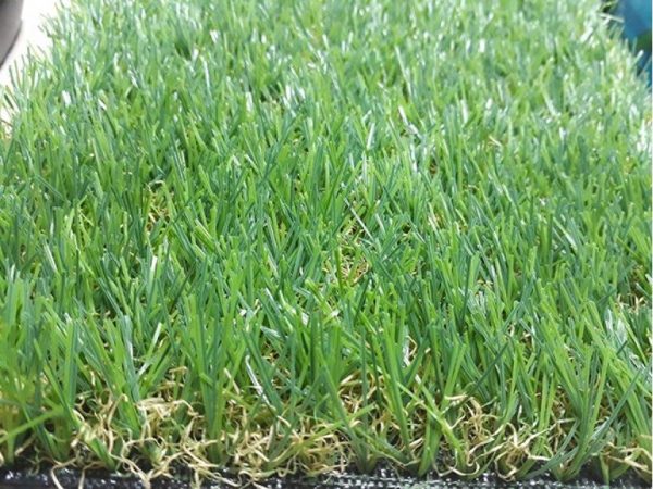 Cỏ nhân tạo sân vườn PTN-U30 51