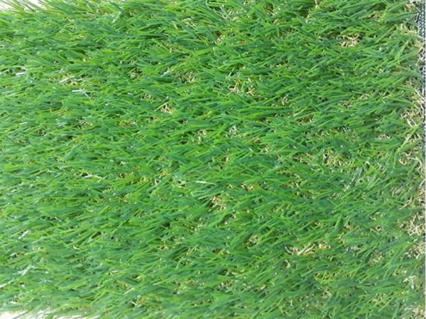 Cỏ nhân tạo sân vườn PTN-U30 