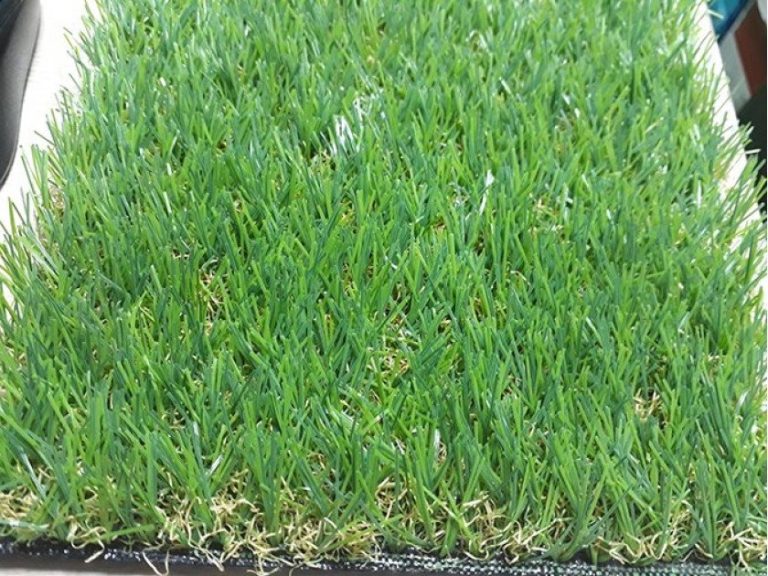 Cỏ nhân tạo sân vườn PTN-U30 50