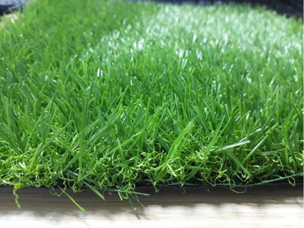 Cỏ nhân tạo sân vườn PTN-TG3055