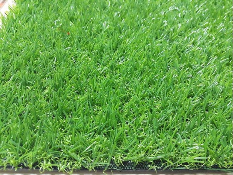 Cỏ nhân tạo sân vườn PTN-TG2057