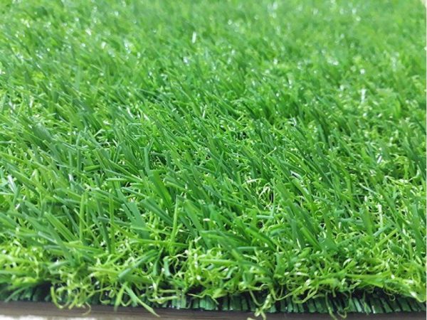 Cỏ nhân tạo sân vườn PTN-TG2059