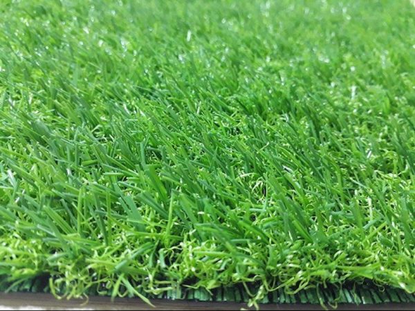 Cỏ nhân tạo sân vườn PTN-TG20