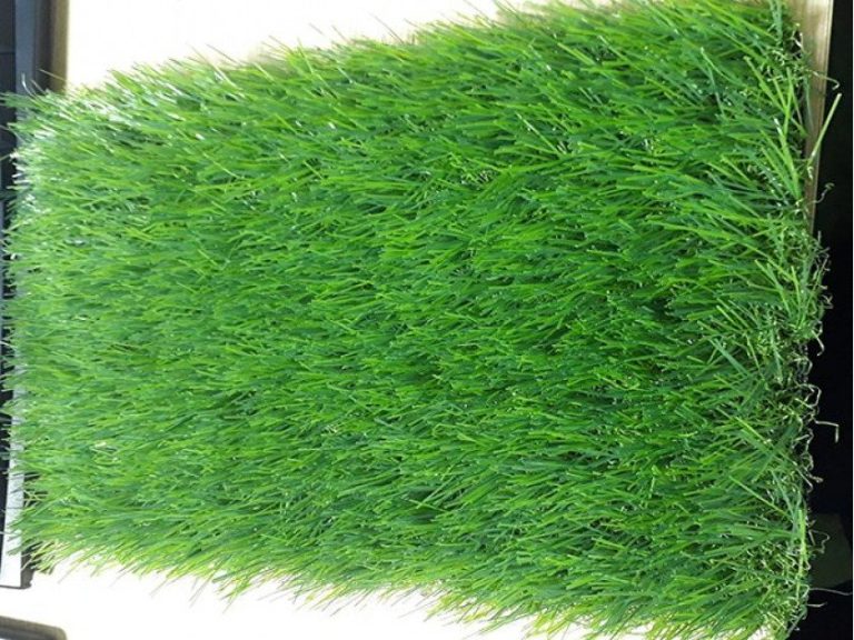 Cỏ nhân tạo sân vườn PTN-LG4061