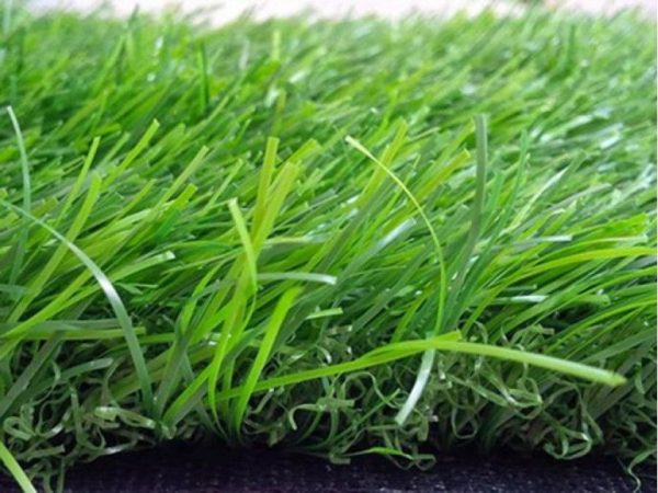 Cỏ nhân tạo sân vườn PTN-LG4063