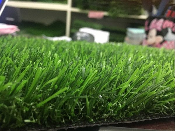 Cỏ nhân tạo sân vườn PTN-LG3065