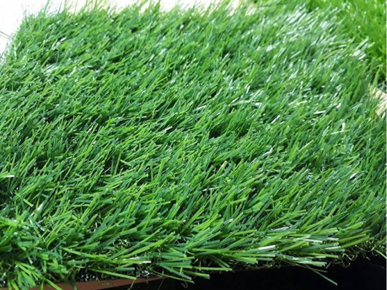 Cỏ nhân tạo sân vườn PTN-LG3066