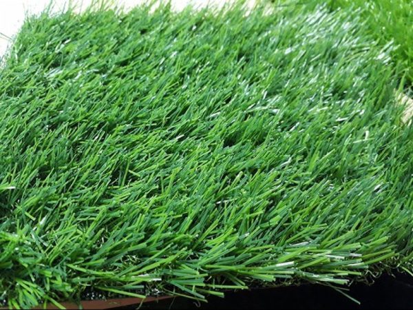 Cỏ nhân tạo sân vườn PTN-LG30