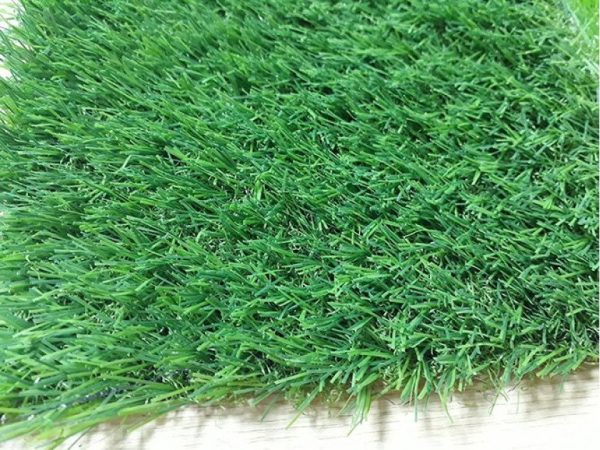 Cỏ nhân tạo sân vườn PTN-LG2068