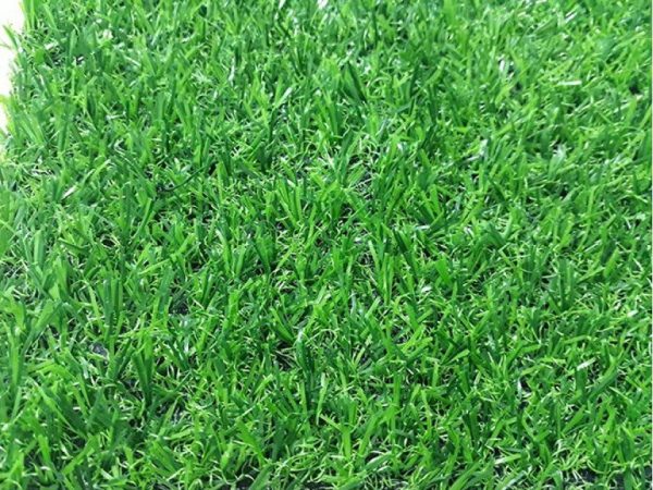 Cỏ nhân tạo sân vườn M20