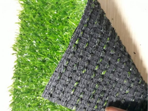 Cỏ nhân tạo PTN-M2574