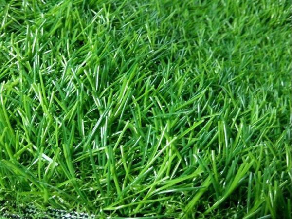 Cỏ nhân tạo PTN-LU301277