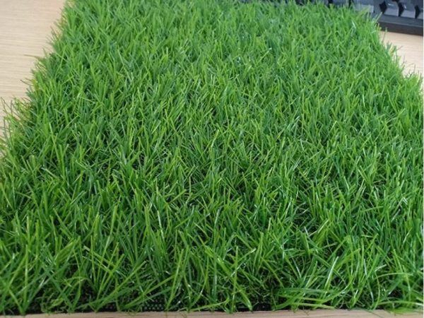 Cỏ nhân tạo PTN-LU301278