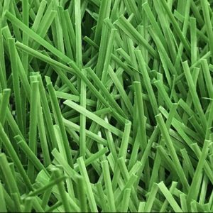 Cỏ nhân tạo PTN-LD8416