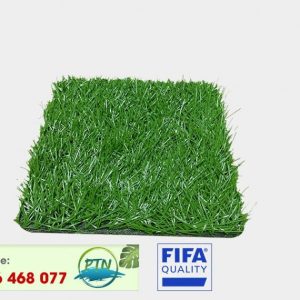 Cỏ nhân tạo PTN - M3 PRO