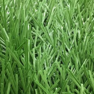 Cỏ nhân tạo PTN-LD8416