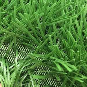 Cỏ nhân tạo PTN-LD8416