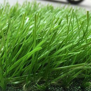 Cỏ nhân tạo PTN-M17