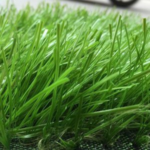 Cỏ nhân tạo PTN-M17