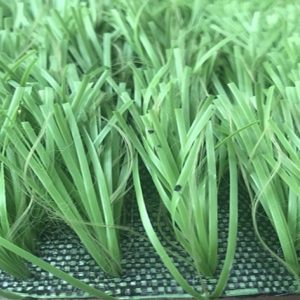 Cỏ nhân tạo PTN-M17