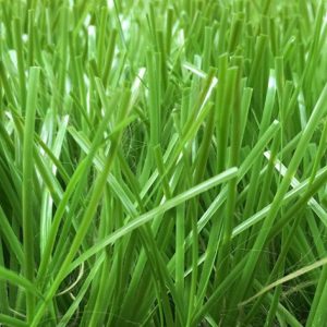 Cỏ nhân tạo PTN-M17