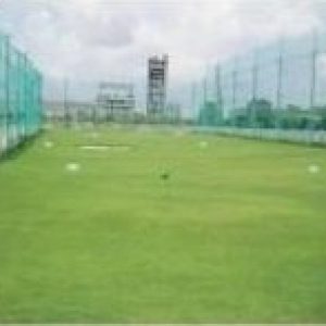 Cỏ nhân tạo sân Golf PTN-X10