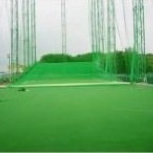 Cỏ nhân tạo sân Golf PTN-X10