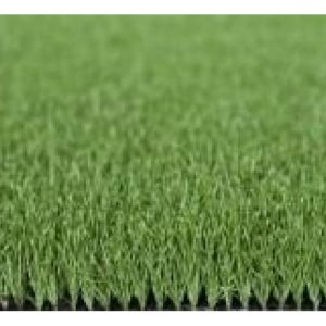 Cỏ nhân tạo sân Golf PTN-X10