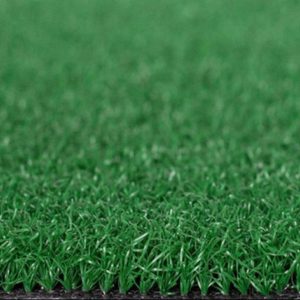 Cỏ nhân tạo sân Golf PTN-X10