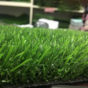Cỏ nhân tạo sân vườn PTN-LG30
