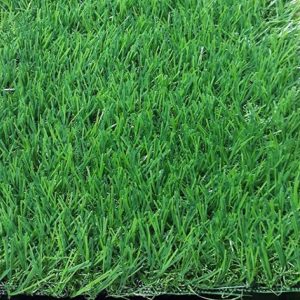 Cỏ nhân tạo sân vườn PTN-LG30