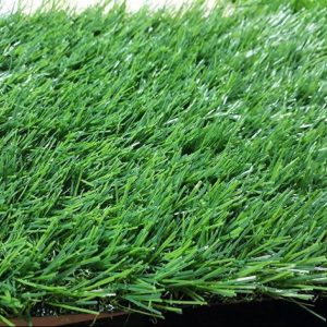 Cỏ nhân tạo sân vườn PTN-LG30