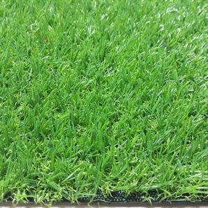 Cỏ nhân tạo sân vườn PTN-TG20