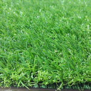 Cỏ nhân tạo sân vườn PTN-TG20