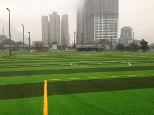 Cụm sân bóng cỏ nhân tạo 69 – Hoàng Minh Giám – Hà Nội