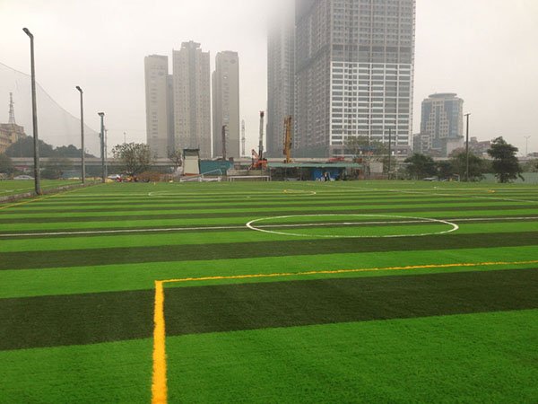 Cụm sân bóng cỏ nhân tạo 69 – Hoàng Minh Giám – Hà Nội