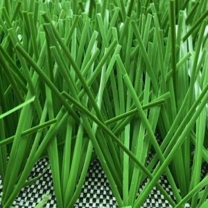 Cỏ nhân tạo PTN-LD8413