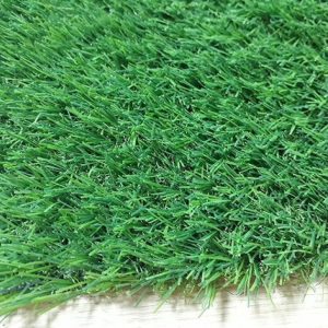 Cỏ nhân tạo sân vườn PTN-LG20
